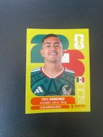 Panini FIFA World Cup Sticker MEX 14